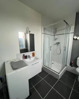 Salle de bains dans l'établissement Très joli T1 à Lambezellec avec parking gratuit
