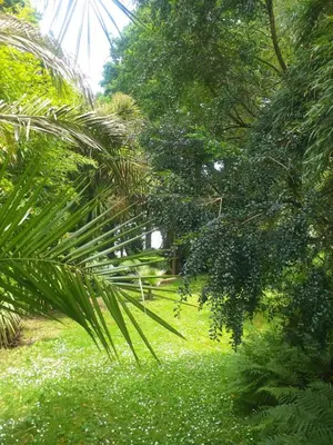 Jardin de l'établissement Un Jardin en Pente Douce