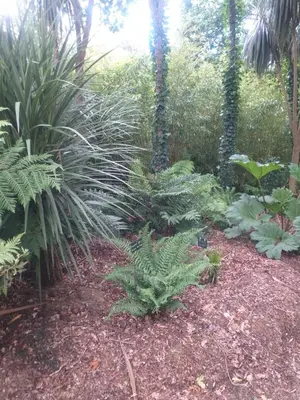 Jardin de l'établissement Un Jardin en Pente Douce