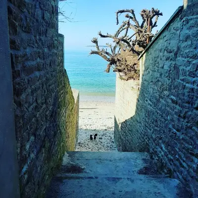 Paysage naturel près de l'appartement