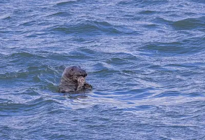 Paysage naturel près de l'appartement