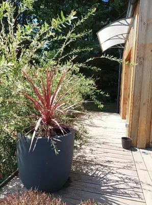 Jardin de l'établissement Lodge Domaine de Kerolivier