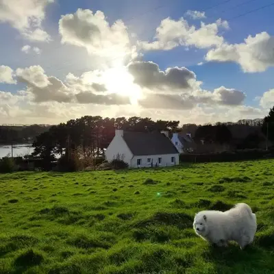 Maison vue mer à Plouguerneau
