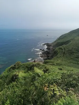 Paysage naturel près de la maison de vacances
