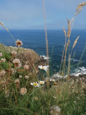 Paysage naturel près de la maison de vacances