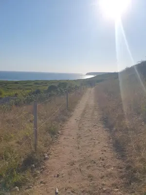Paysage naturel près de la maison de vacances