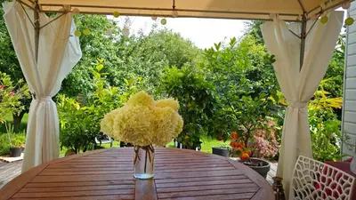 Jardin de l'établissement Maison avec Spa en bord de mer