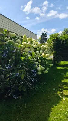 Jardin de l'établissement Maison avec Spa en bord de mer