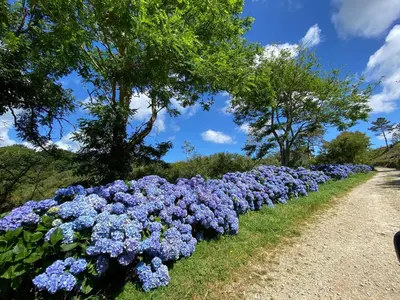 Jardin de l'établissement Ty Lora - Isolée en bord de mer