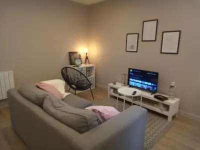 Télévision ou salle de divertissement dans l'établissement Coeur de ville cosy