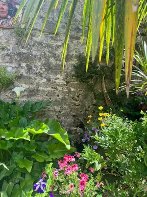 Jardin de l'établissement Quimper Centre
