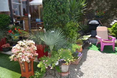 Jardin de l'établissement Quimper Centre