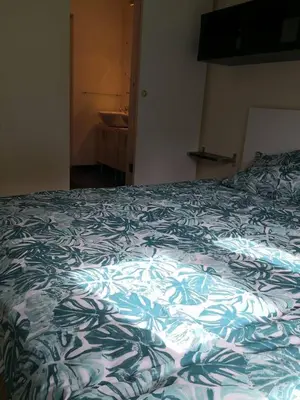 Un ou plusieurs lits dans un hébergement de l'établissement Appartement accueillant au cœur de Le Conquet avec parking privé