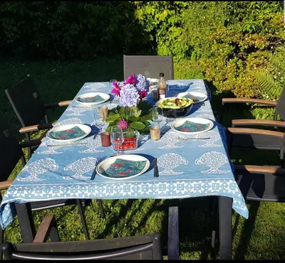 Jardin de l'établissement chambre d'hôtes vue sur jardin
