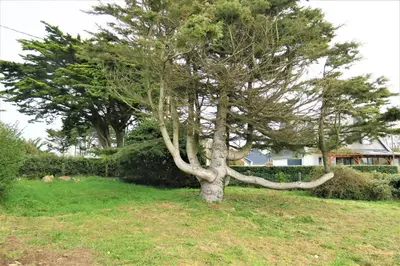 Jardin de l'établissement Maison VUE MER avec jardin à 800m de la plage à TREBEURDEN REF-683