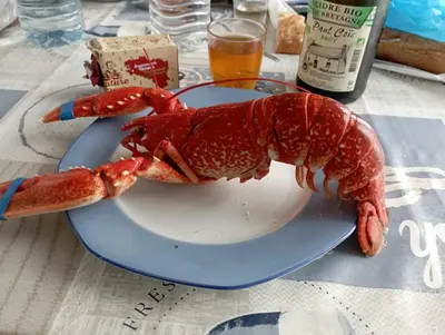 Nourriture dans la maison de vacances ou à proximité