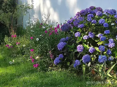 Jardin de l'établissement Er Mervent Maison de vacances
