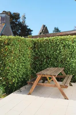 Jardin de l'établissement Les Gîtes du Vallon du Trunvel
