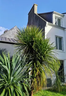 Jardin de l'établissement PENINSULAR HOUSE