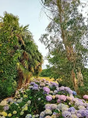 Jardin de l'établissement Le Manoir de KEROFIL