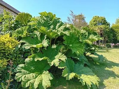 Jardin de l'établissement Le Manoir de KEROFIL