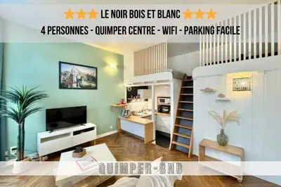 Télévision ou salle de divertissement dans l'établissement LE NOIR BOIS ET BLANC - Studio - Wifi - Centre Ville - Entrée Autonome