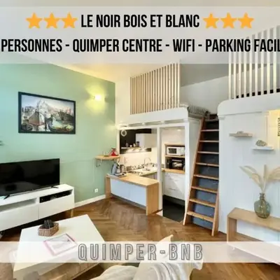 LE NOIR BOIS ET BLANC - Studio - Wifi - Centre Ville - Entrée Autonome