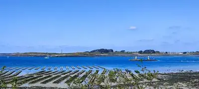 Paysage naturel près de le séjour chez l'habitant