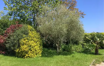 Jardin de l'établissement 4 Bedroom Nice Home In Plougasnou