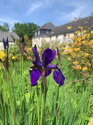 Jardin de l'établissement Les Gîtes du Manoir de Keryvon
