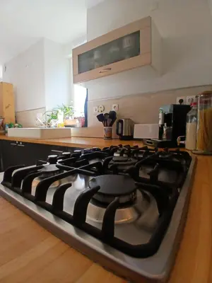 Cuisine ou kitchenette dans l'établissement Manoir de kerozet - Chambres chez l'habitant - 3 chiens
