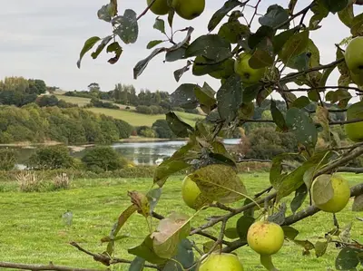 Paysage naturel près de la maison de vacances