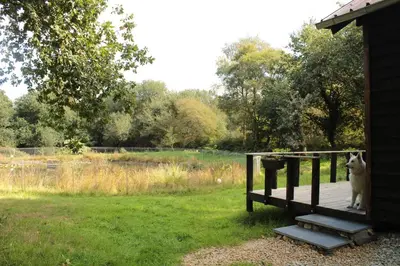 Jardin de l'établissement Chalet cosy en lisière de forêt