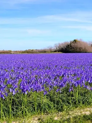Paysage naturel près de la maison de vacances