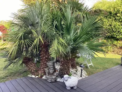 Jardin de l'établissement Kerivin