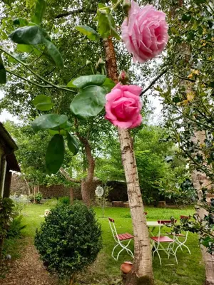 Jardin de l'établissement Ty Merzhin