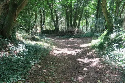 Paysage naturel près de la maison de vacances