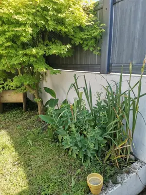 Jardin de l'établissement Charmante maisonnette
