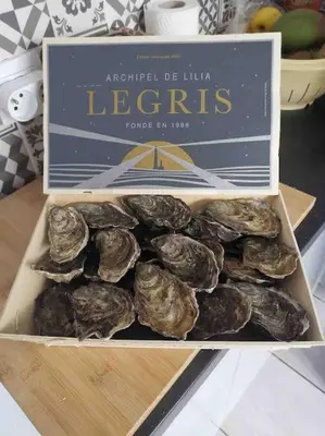 Plan de l'établissement Kerletty, la mer, les embruns, à 250 m des plages