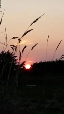 Lever ou coucher de soleil vu de la maison de vacances ou à proximité